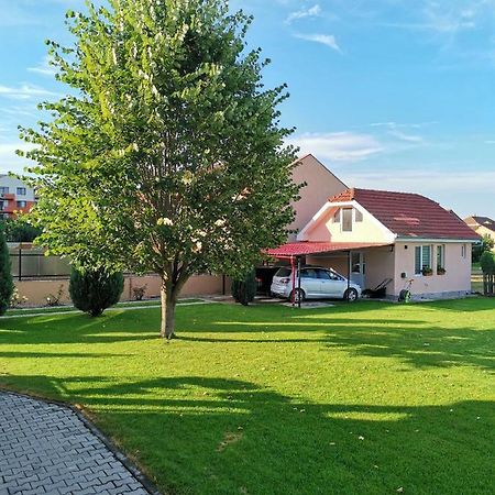 Casuta cu Tei-Lime House Villa Oradea Exterior foto